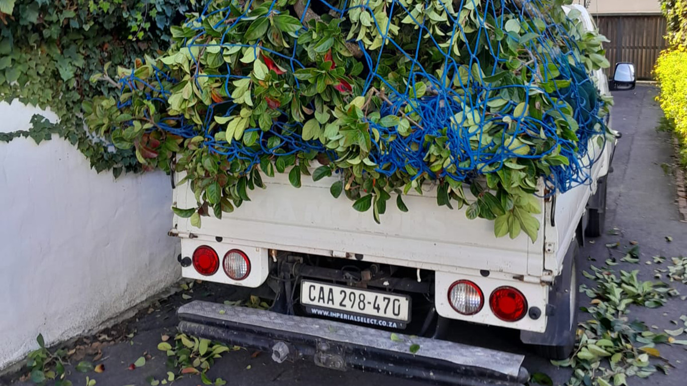 garden refuse removal