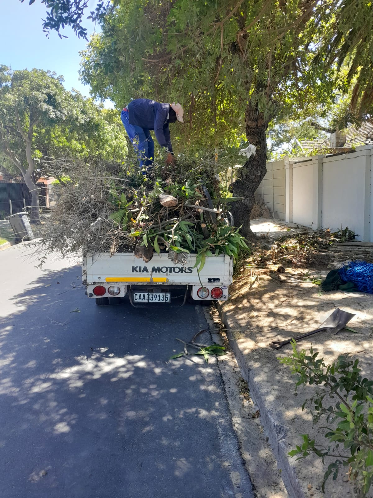 Rapid Junk Removal team loading garden refuse and tree branches onto a truck on a shaded residential street in Cape Town