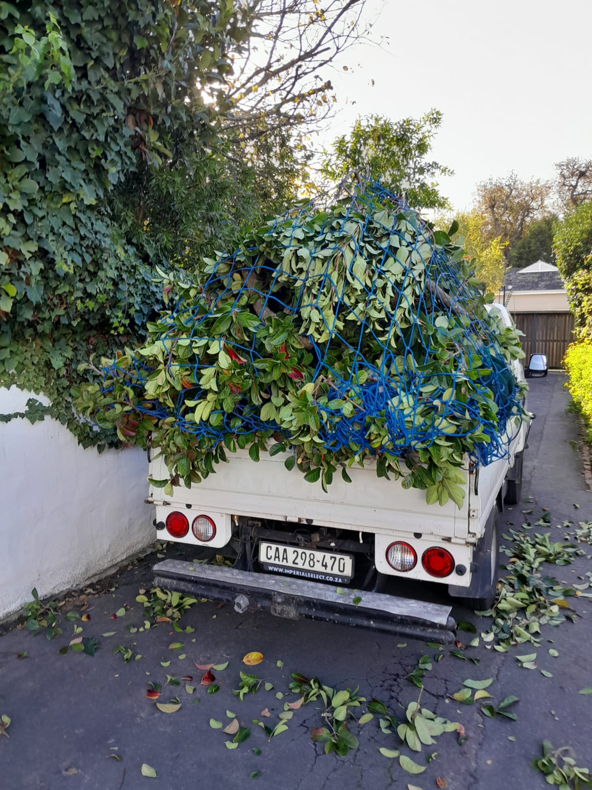 Green garden waste netted down in the back of a bakkie in a Cape Town driveway, with loose leaves scattered on the paving behind the vehicle