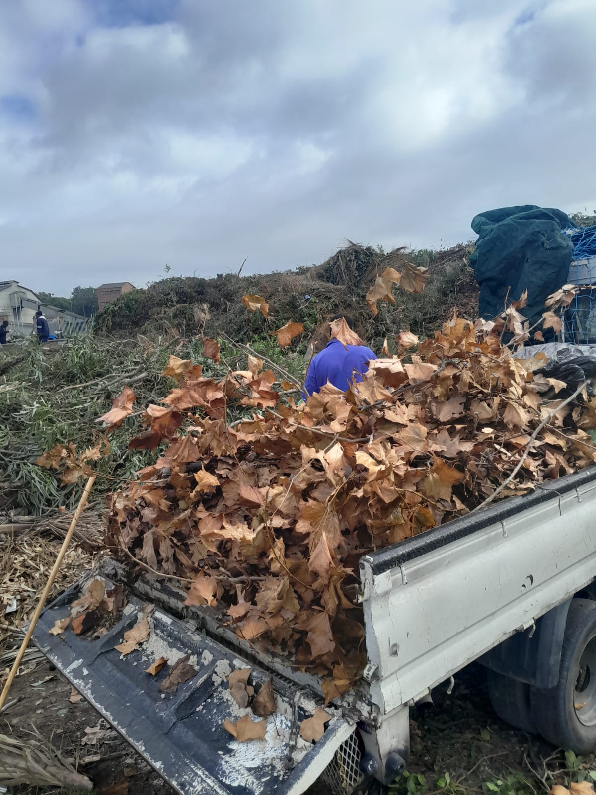 Green waste being dropped off at a Cape Town municipal landfill site